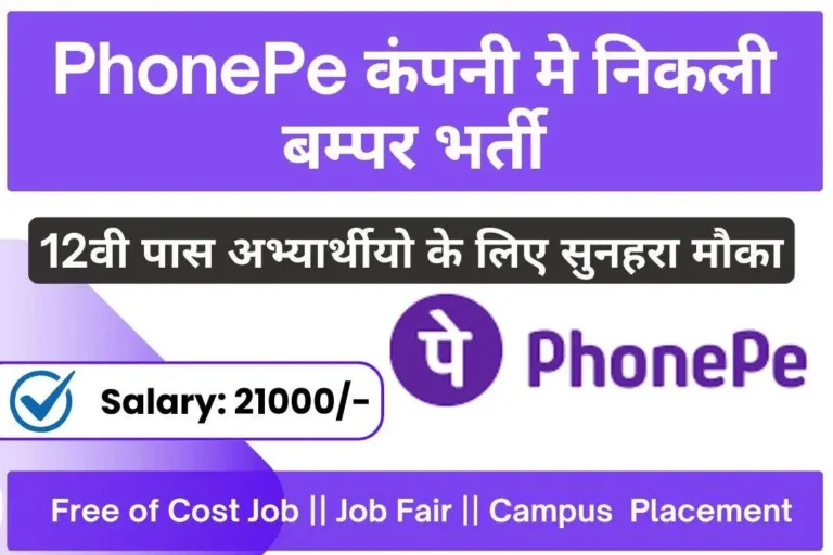 Phonepe Private Limited Jobs 2024