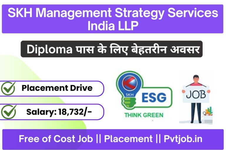 SKH Management Strategy Services India LLP